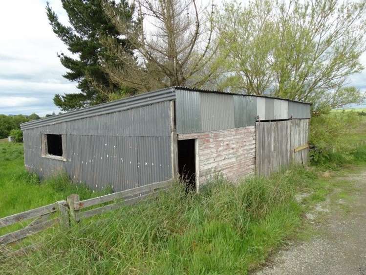 Koi Flat Road Clutha_7