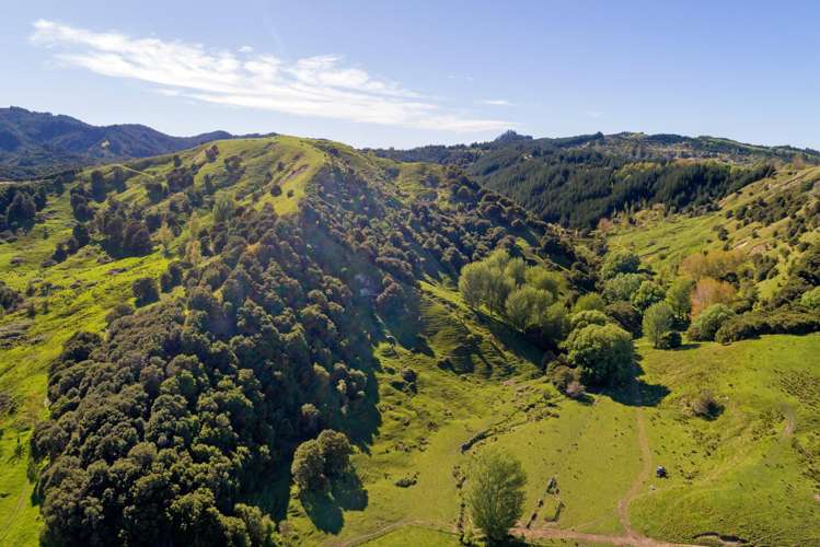 Matokitoki Valley Road Matokitoki_18