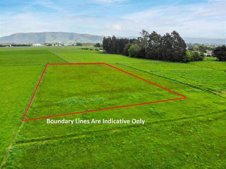 7 Pembroke Street Waimate_5