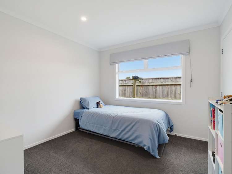 30 Monarch Drive Ashhurst_19