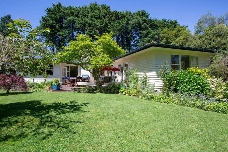 1921 Weber Road Dannevirke_15