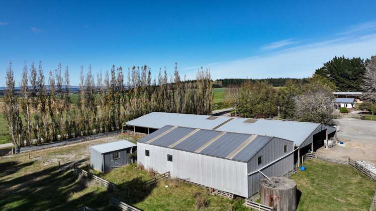 55 McGill Road Te Tipua_2