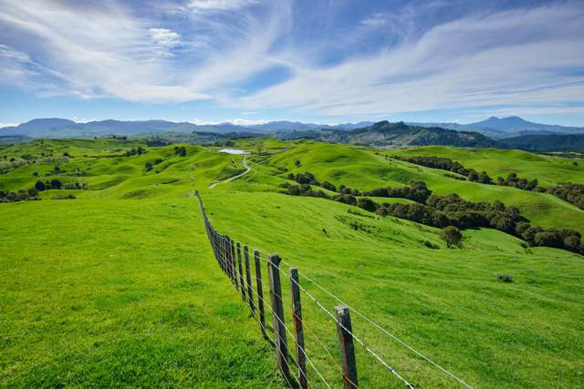 281 Matanui Road (Matanui Station) Tauwhareparae_1