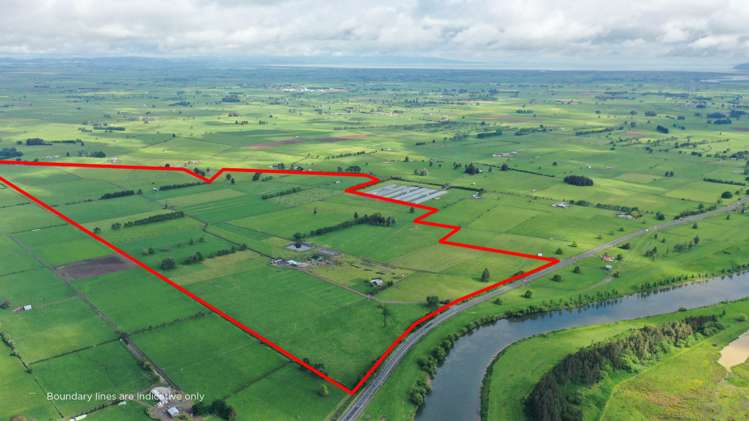 6292 State Highway 2 Paeroa_16