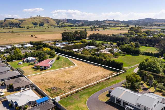 104 Tara Road Papamoa_2