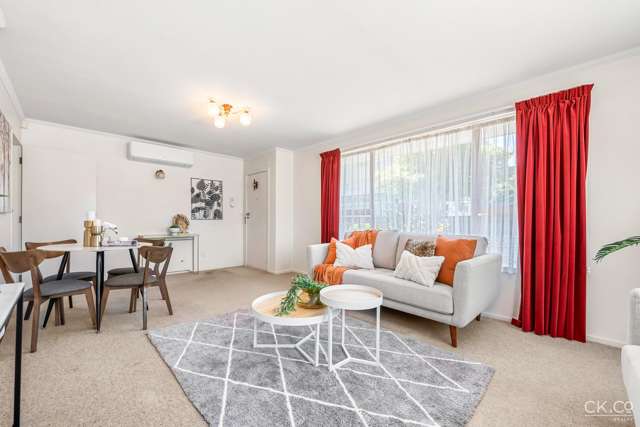 19 Bloomfield Terrace Lower Hutt Central_4