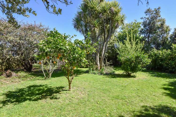 7 Philip Street Carterton_22