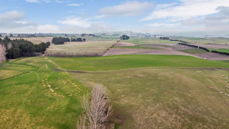 81 Waimotu Road Maheno_12