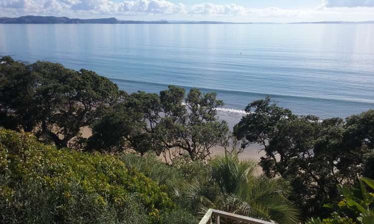 6 Joydon Place Stanmore Bay_25