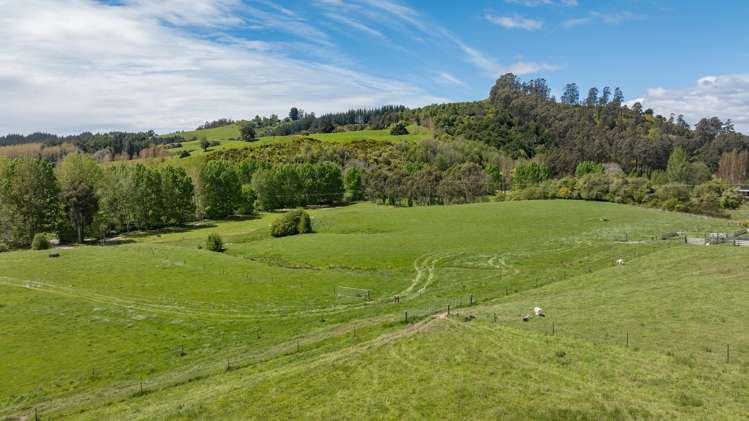 98 Thorpe-Orinoco Road Ngatimoti_5