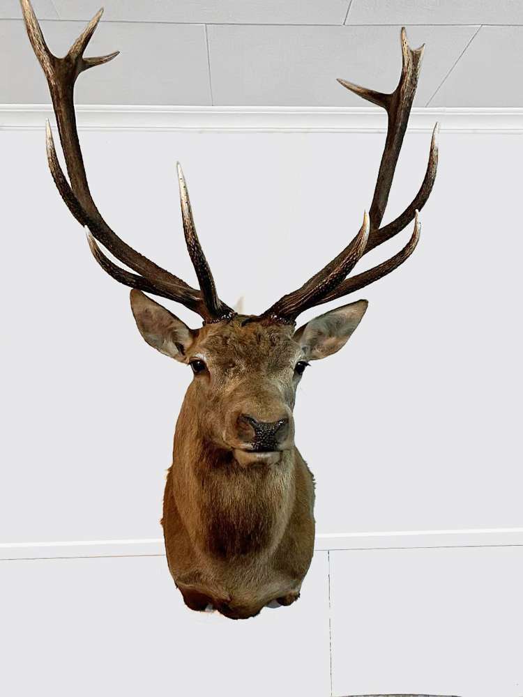 172 Kakariki West Road Eketahuna_9