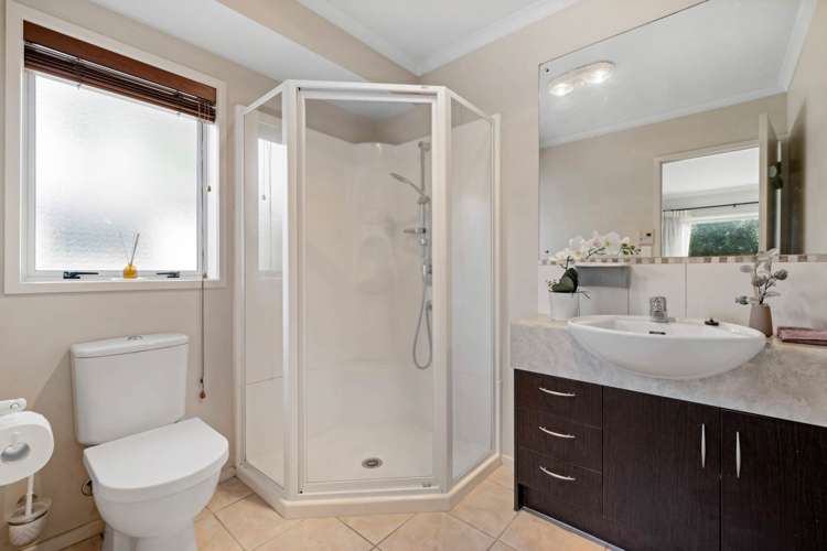 3 Borthwick Close Flat Bush_18