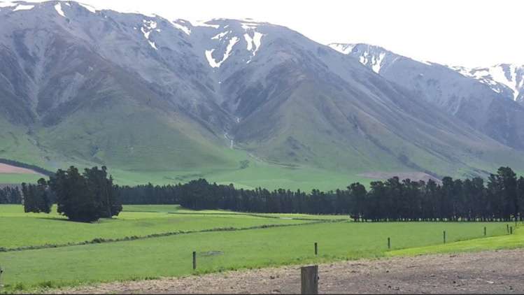 137 Blackford Road Methven_18