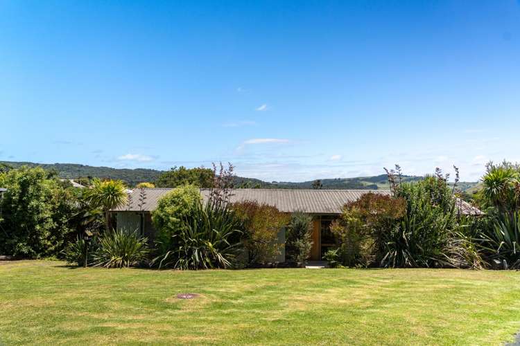 12 Park Drive Raglan_15