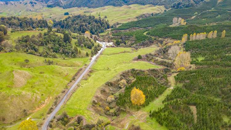 424 Tapuiwahine Road Ongarue_21