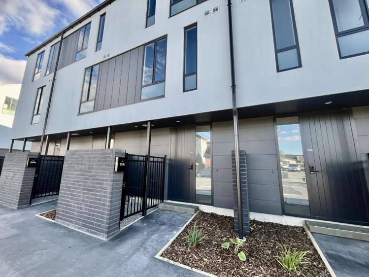 339c Cashel Street 1419_8