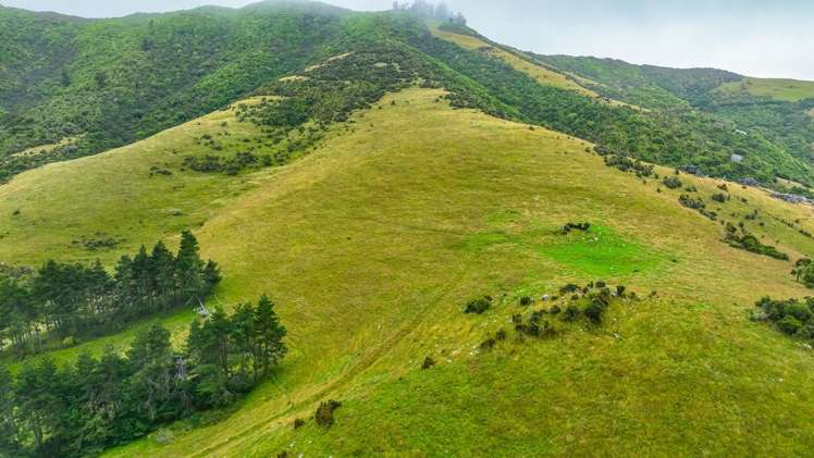 663 Summit Road Pigeon Bay_5