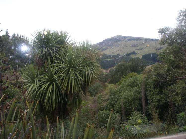 46 Morrisons Road Little River_14