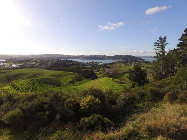 49a Hills Road Raglan_3