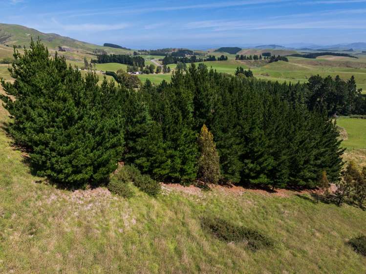 38 Valley Road Greta Valley_12