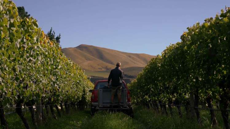 376 Ram Paddock Road Waipara_16