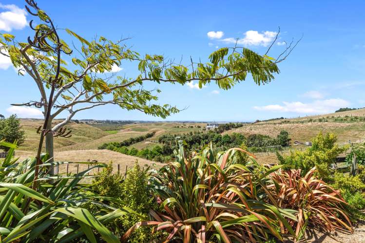 992a Glen Murray Road Rangiriri_7