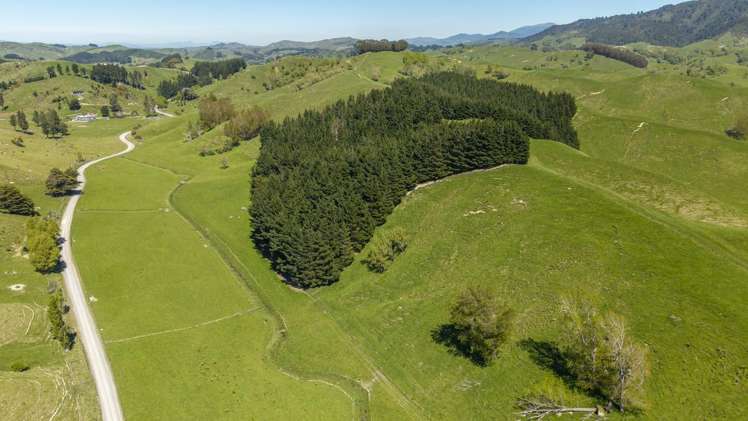 329 North Road Masterton_7