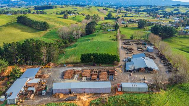 Hawke’s Bay sale offers pole position in timber industry