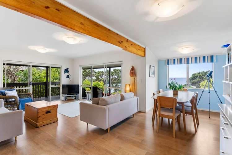 6 Kowhai Terrace Leigh_8