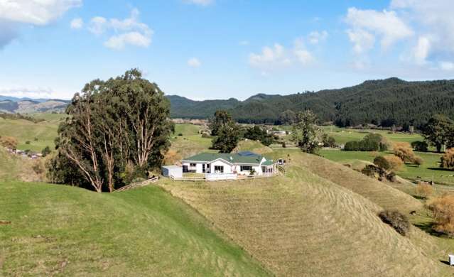 113C Downard Road Awakeri_2