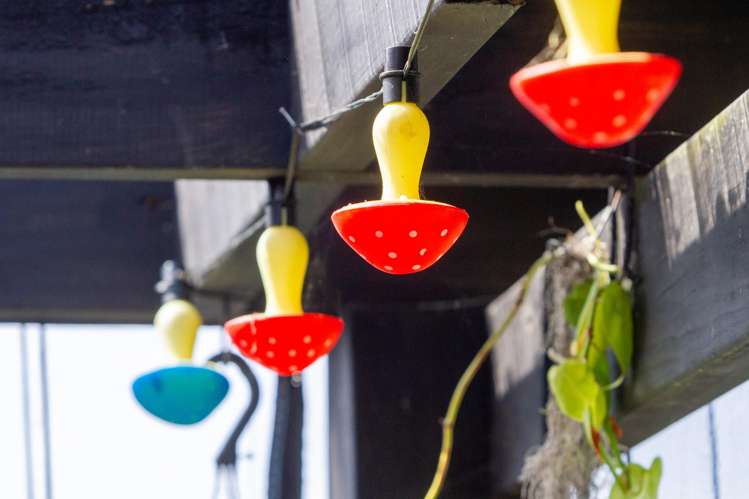 22 The Crescent Waihi Beach_17