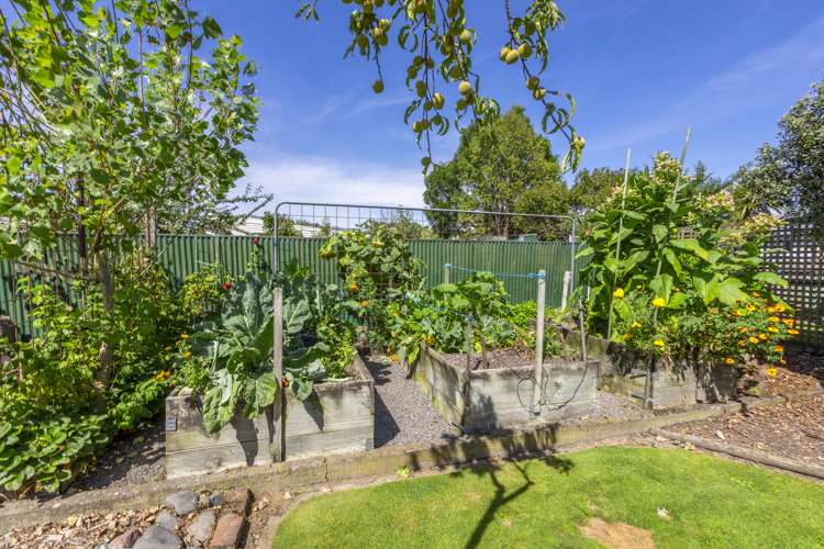 31 Mcgreevy Street Waipawa_14