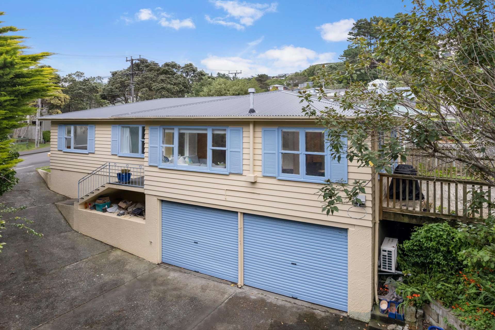 4 Arapiko Street Johnsonville_0