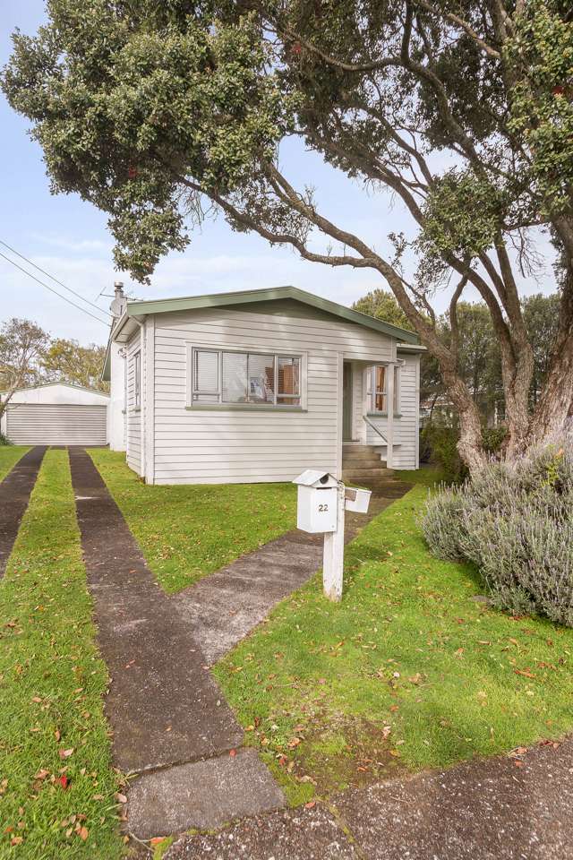 22 Jersey Avenue Mount Albert_1