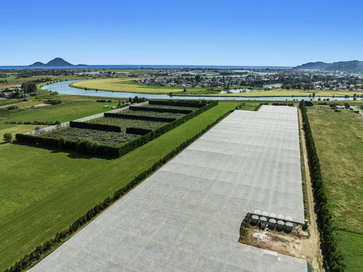 278 Paroa Road Whakatane Surrounds_17