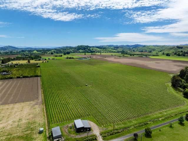 Expansive, flat land with development options