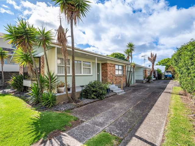 22 Terrace Avenue Mt Maunganui_4