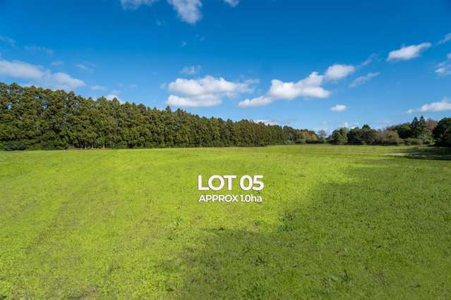 Lot 2 Access Road Kumeu_1