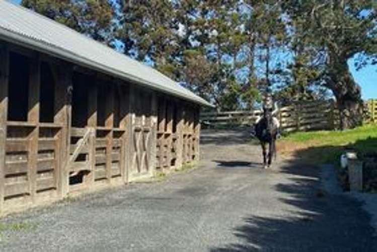 270 Ireland Road Waitoki_26