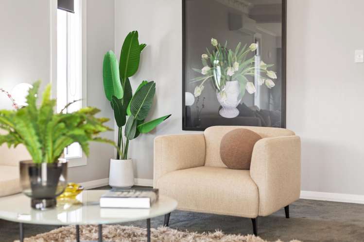 11 Hobart Street Miramar_19