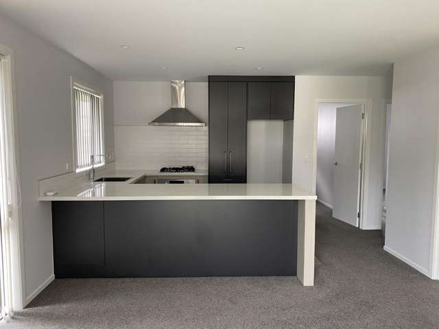 1/159 Ellicott Road Nawton_3