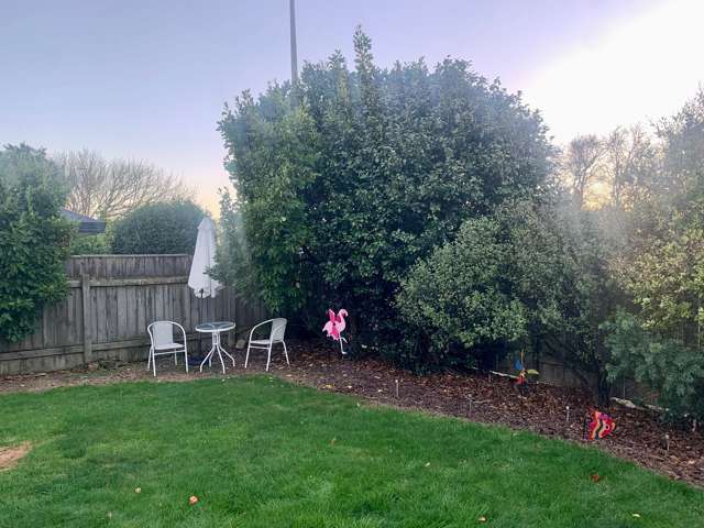 20 Heretaunga Street Palmerston North_1