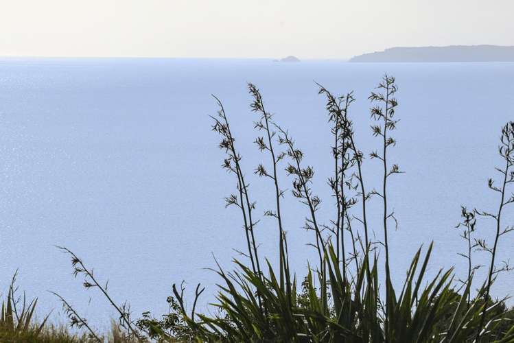 987 Hibiscus Coast Highway Waiwera_39