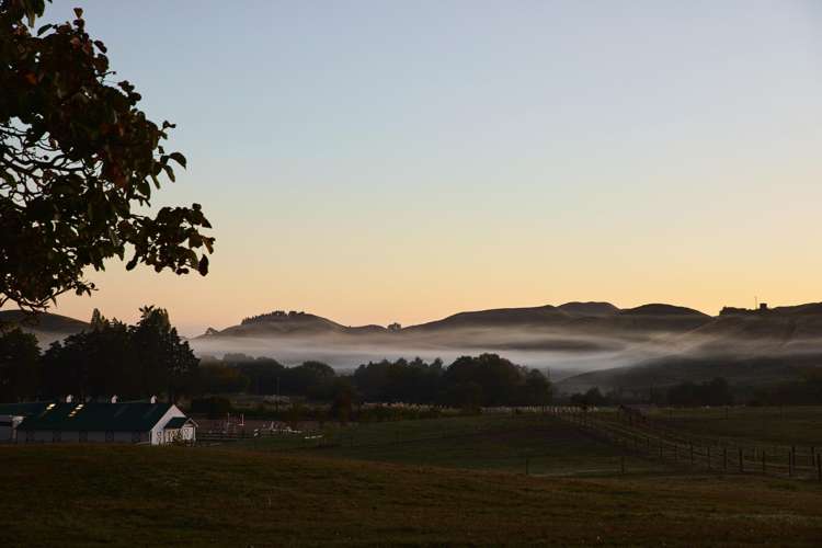 1549 Raukawa Road Raukawa_26
