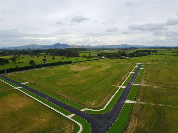 8 Margot Lane Matangi_7