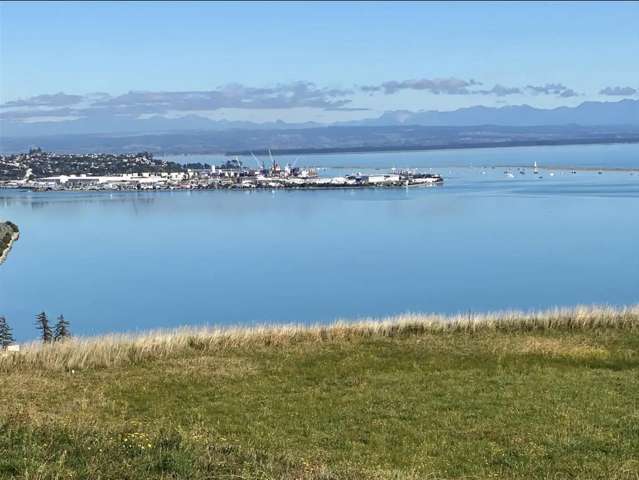 113 Bay View Road Atawhai_1