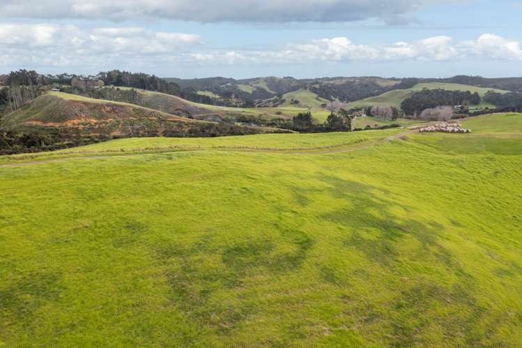 199 Mcpike Road Waimauku_22