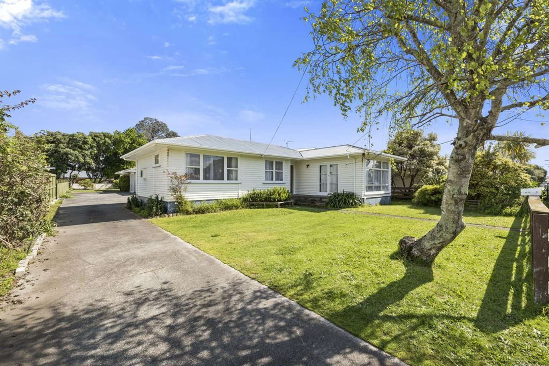 53a Concord Avenue Mount Maunganui_0