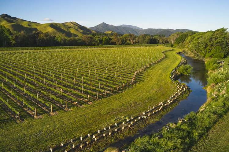 212 Selmes Road Rapaura_19