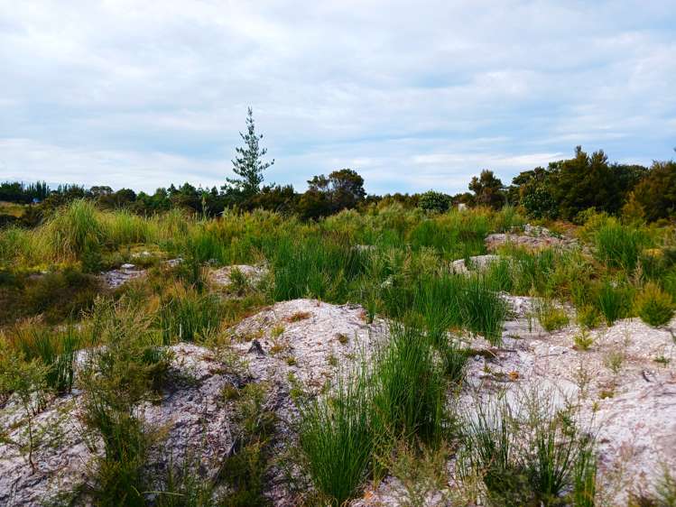 104 Stratford Drive Cable Bay_13